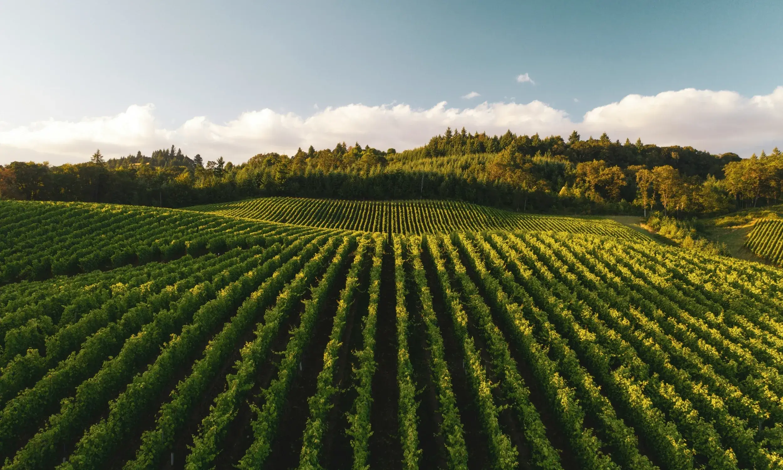 Solar Water Pump System